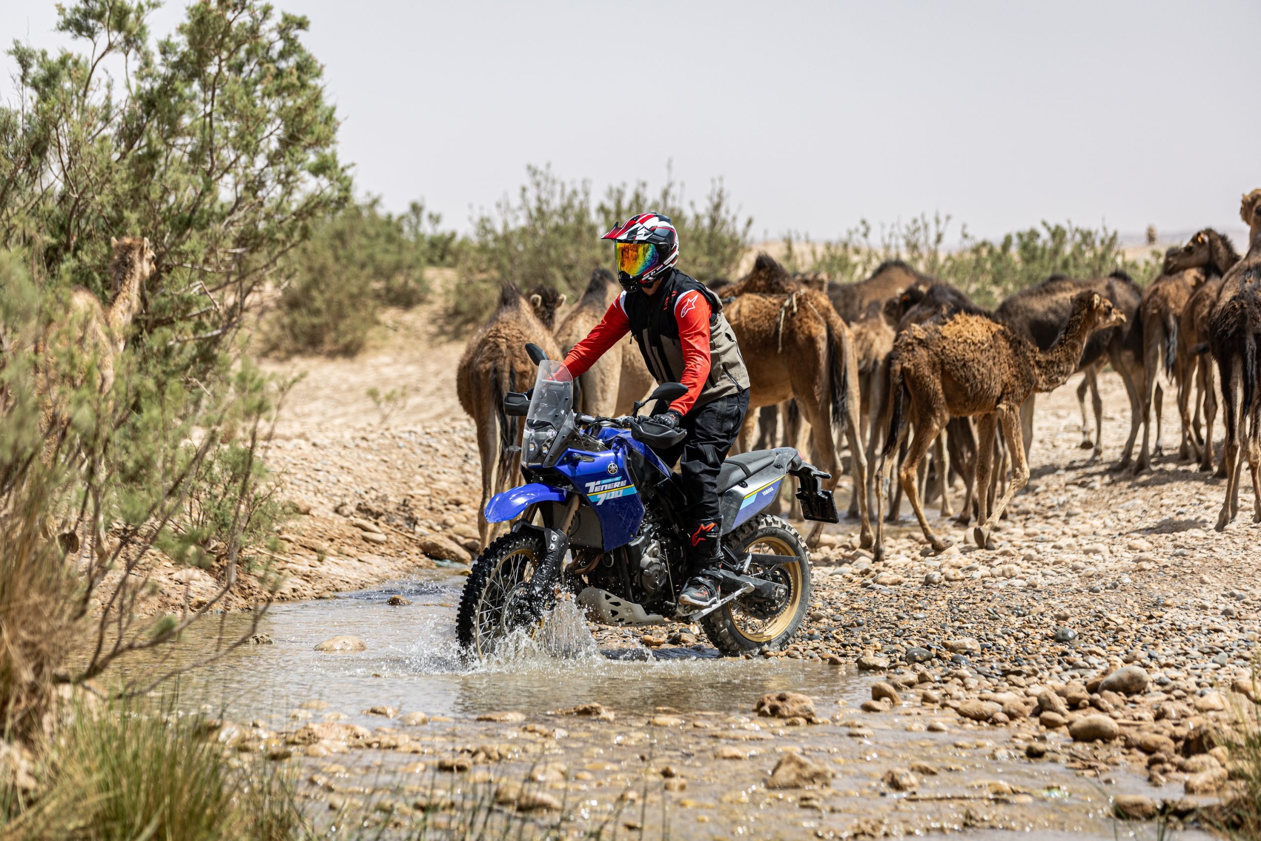 Yamaha Ténéré World Raid GYTR