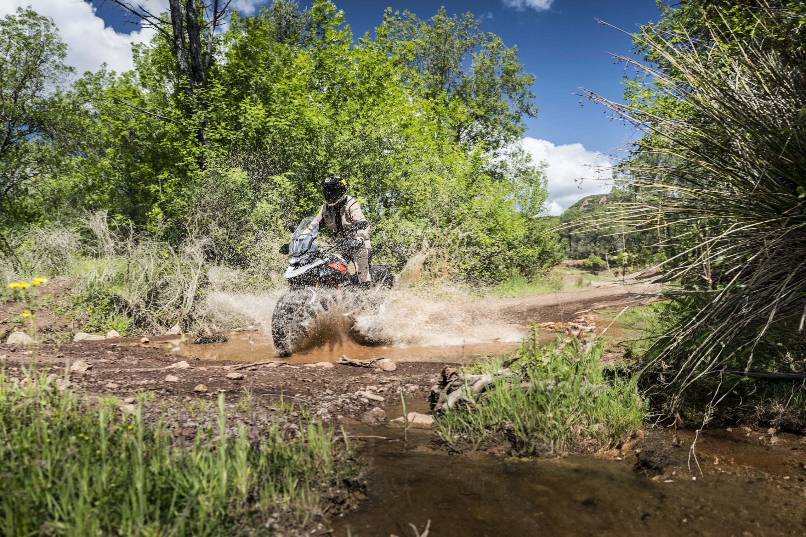 Vergelijk middenklasse allroads_Triumph Tiger 900 Rally Pro