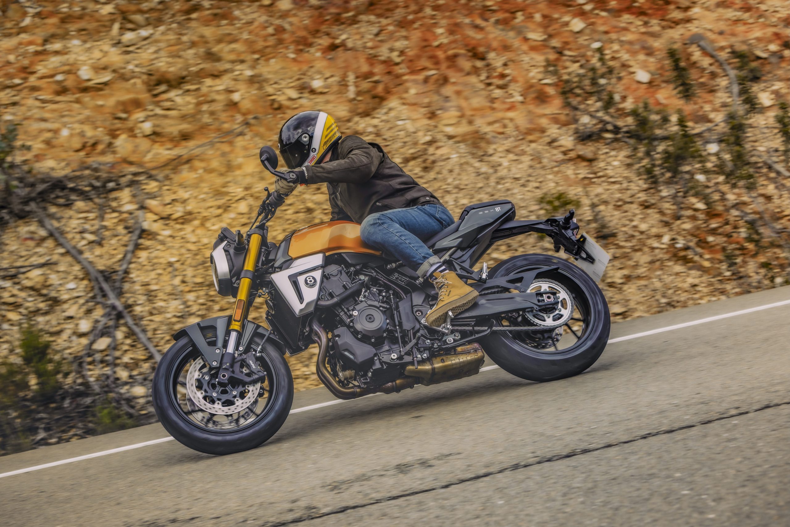 Suzuki GSX-8T GSX-8TT