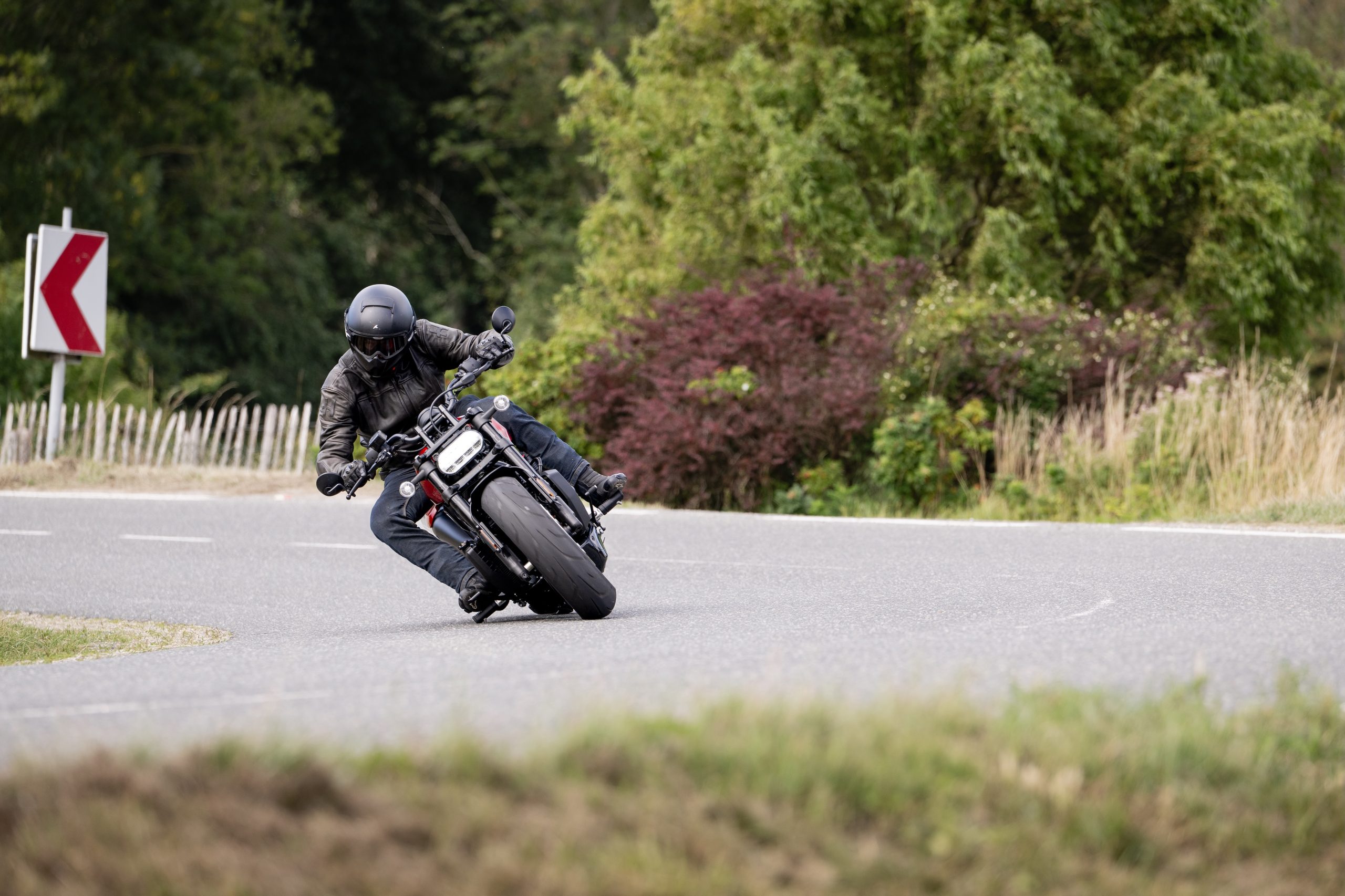 Harley-Davidson Sportster S