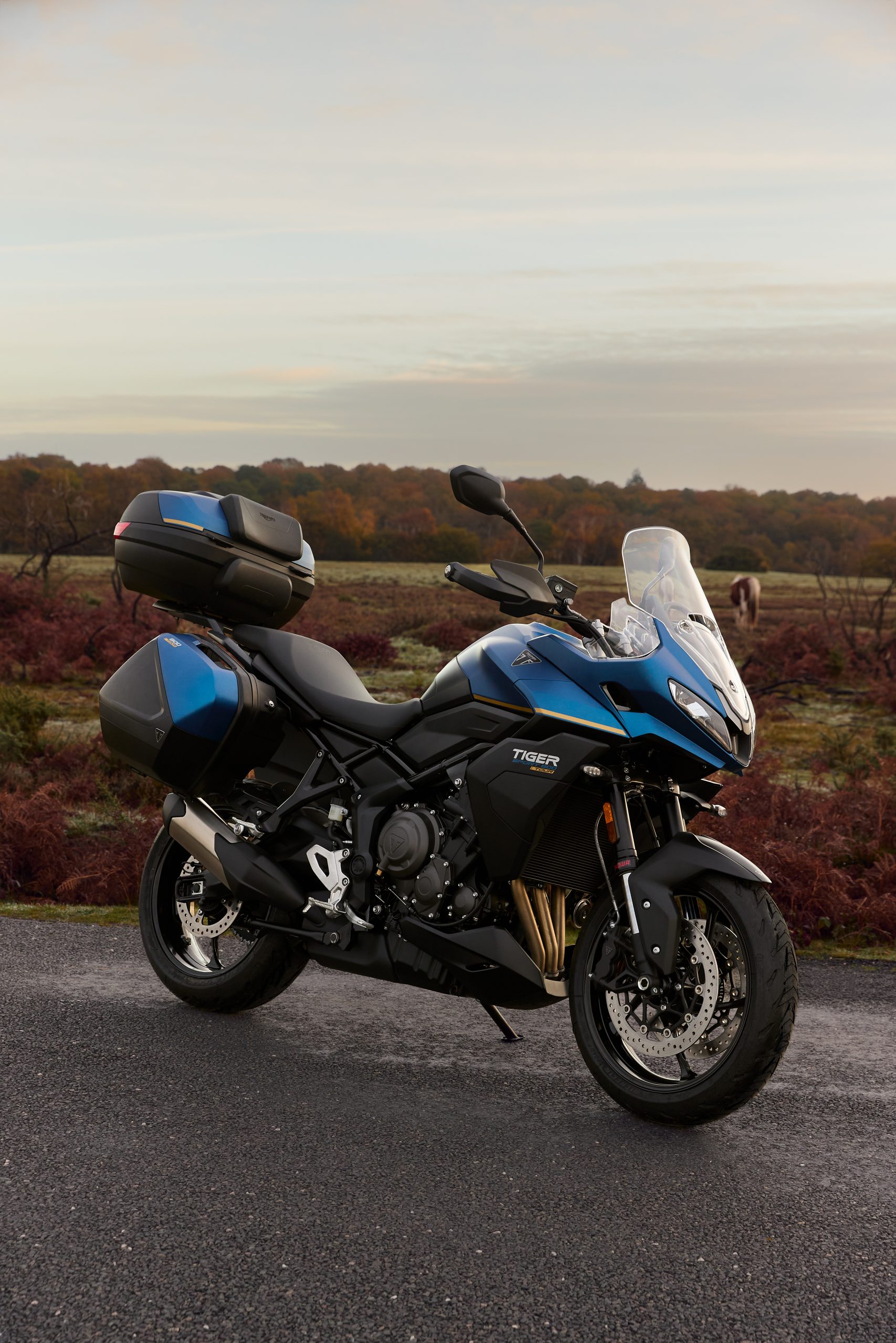 Triumph Tiger Sport 800 Tour