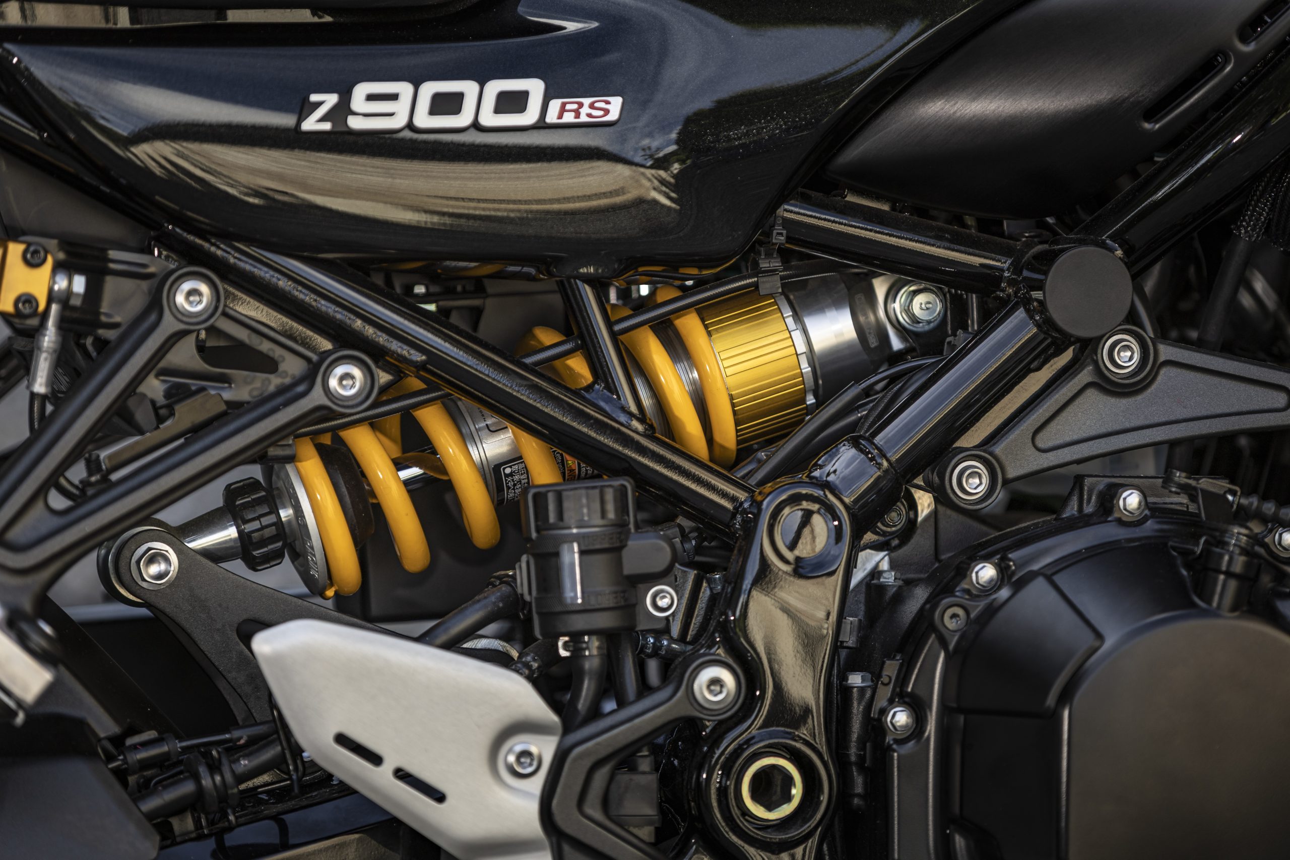 Kawasaki Z900RS SE